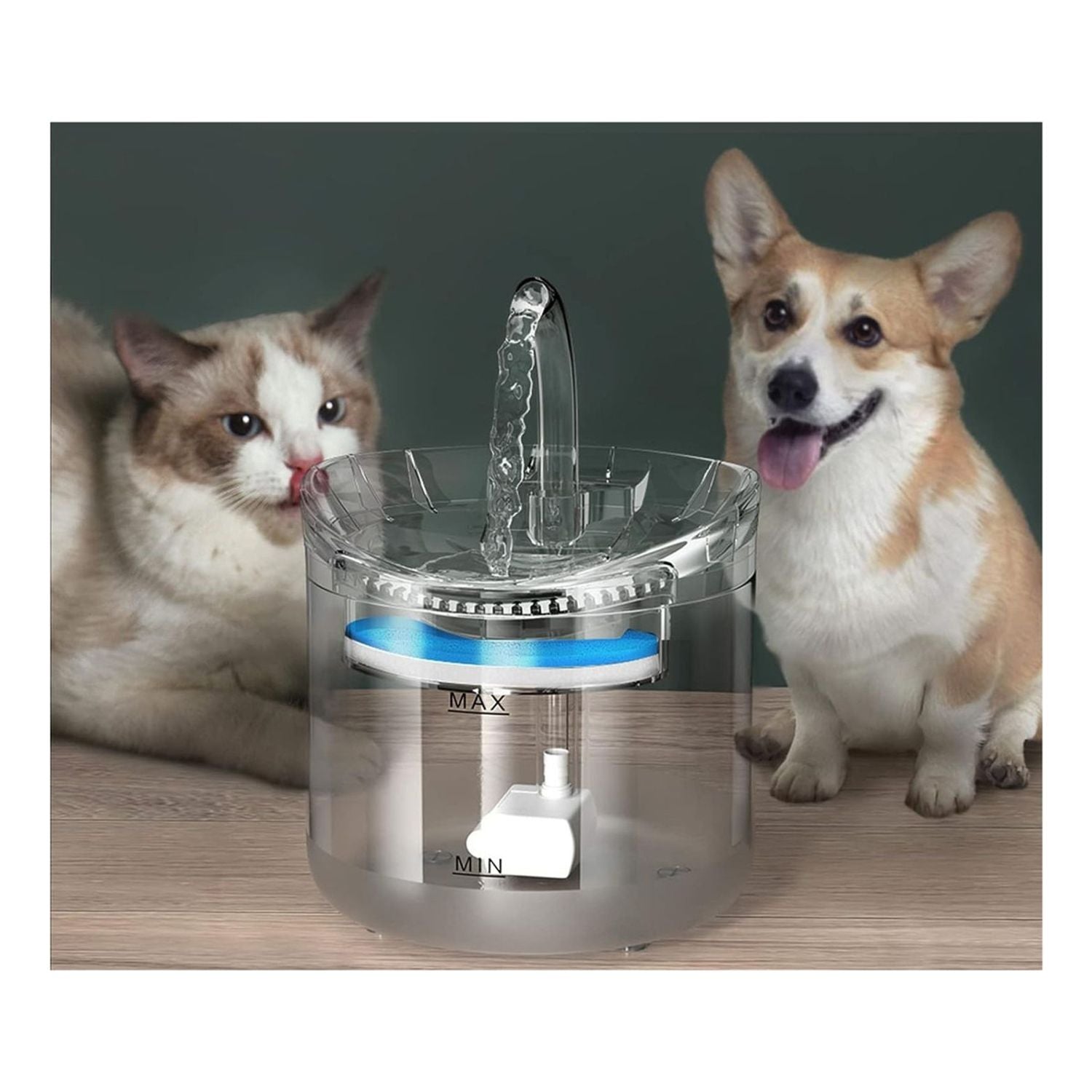 Fuente de agua para mascotas